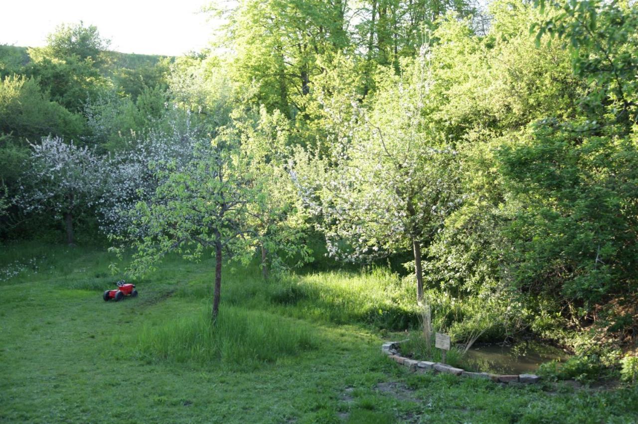 Grosse Wohnung / Haushaelfte In Peetzig Am See Анґермюнде Екстер'єр фото